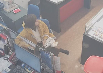 Black nylon VS White nylon 2