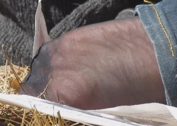 So sexy black nylon sole 2！